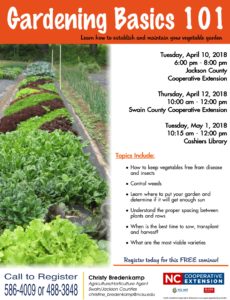 Cover photo for Gardening Basics 101