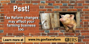 Cover photo for Tax Reform: Changes for Farmers in 2018