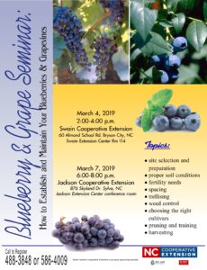 Cover photo for Managing Your Blueberry & Grape Vines