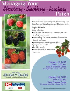 Cover photo for Managing Your Strawberry-Blackberry-Raspberry Patch