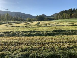 Cover photo for Extension Agents - Land Summit Training May 15, 2019
