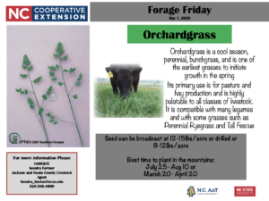 Cover photo for Forage Friday