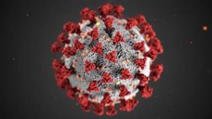 Cover photo for N.C. Cooperative Extension Is Keeping Up-to-Date on COVID-19 (Coronavirus)