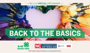 Back to the Basics program