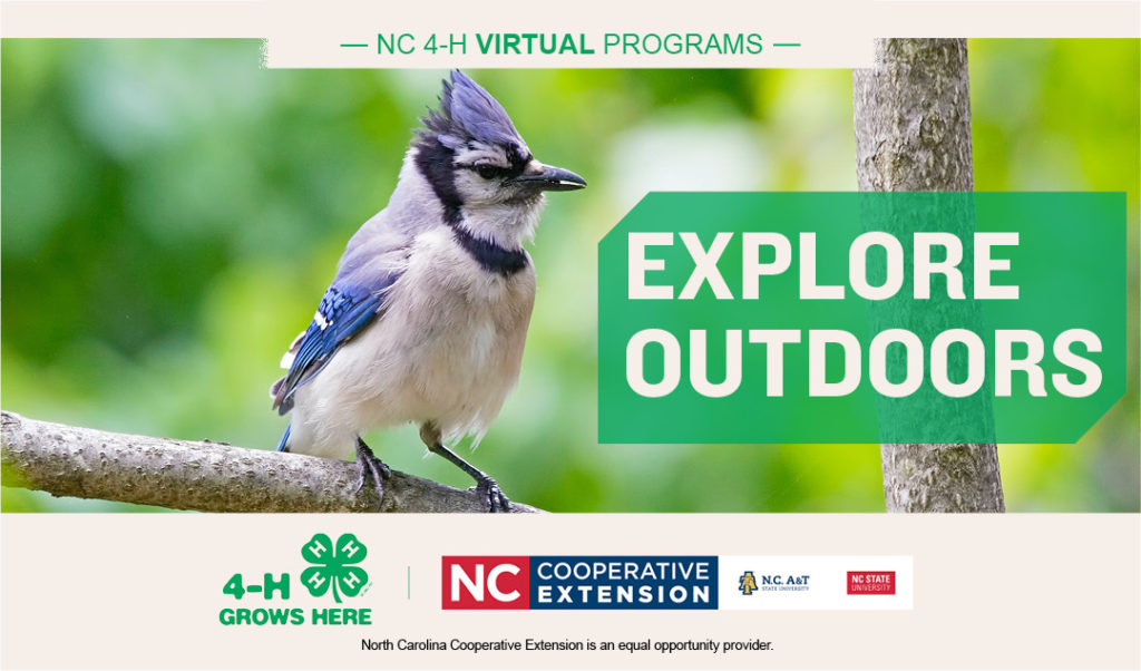 explore outdoors