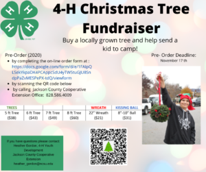 Cover photo for 4-H Christmas Tree Fundraiser