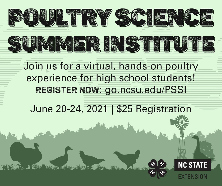 Drawings of poultry