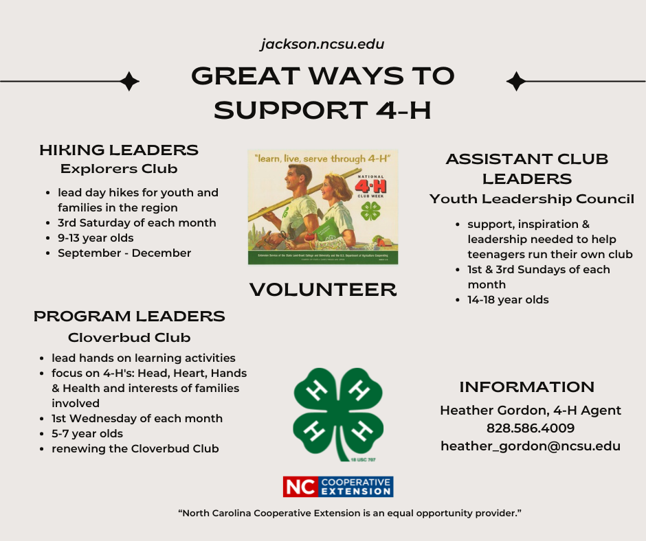 Great Ways to Support 4-H flyer