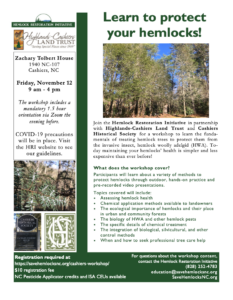 Cover photo for Hemlock Management Workshop