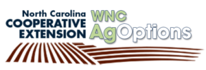 wnc agoptions logo