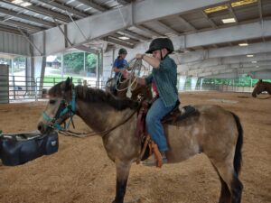 Cover photo for Register Now for the West District 4-H Horsemanship Clinic