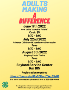 Cover photo for Adults Making a Difference Workshop