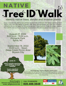 Tree ID Walk flyer.