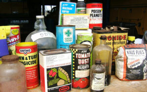 A group of pesticides collected for disposal.