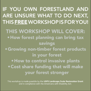 If you own forestland and are unsure what to do next, this free workshop is for you.