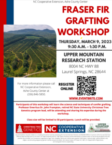 Cover photo for Fraser Fir Grafting Workshop - March 9 at Upper Mountain Research Station
