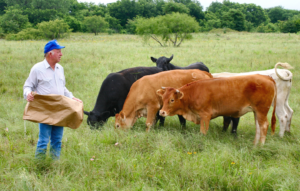 livestock producer