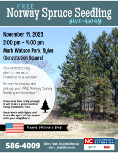 Cover photo for JACKSON 2023 Veteran's Day Tree Give-Away