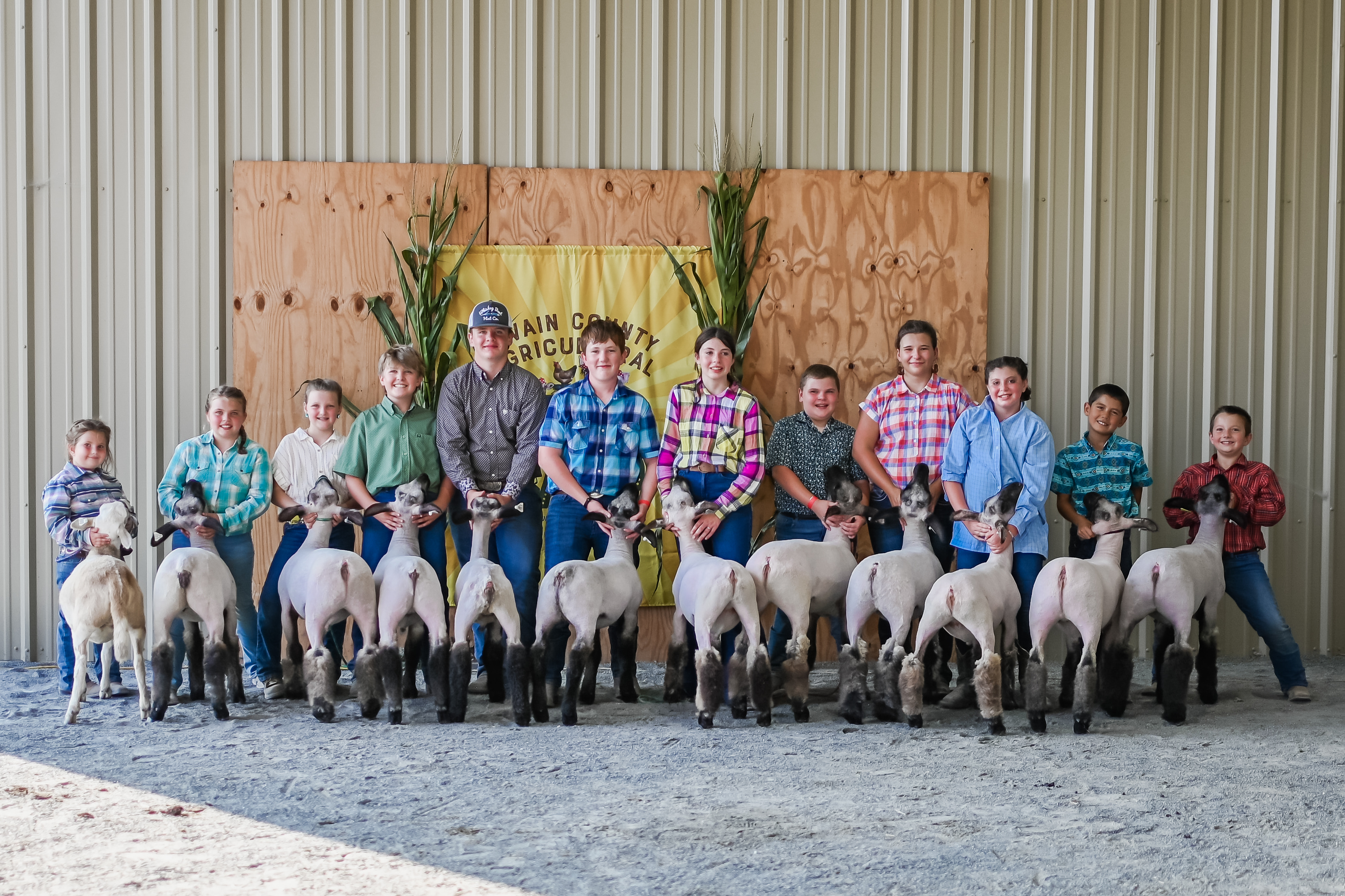 youth livestock group