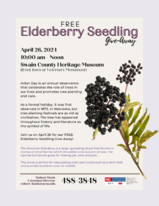 2024 Spring Tree Give-Away Elderberry