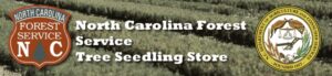 Cover photo for N.C. Forest Service Tree Seedlings Go on Sale July 1