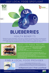 Blueberries Health Benefits Flyer