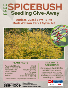 Cover photo for SPICEBUSH Seedling Give-Away