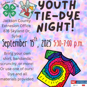 Flier for Tye-Dye Night