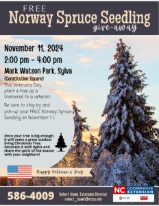 Cover photo for Norway Spruce Seedling Give-Away