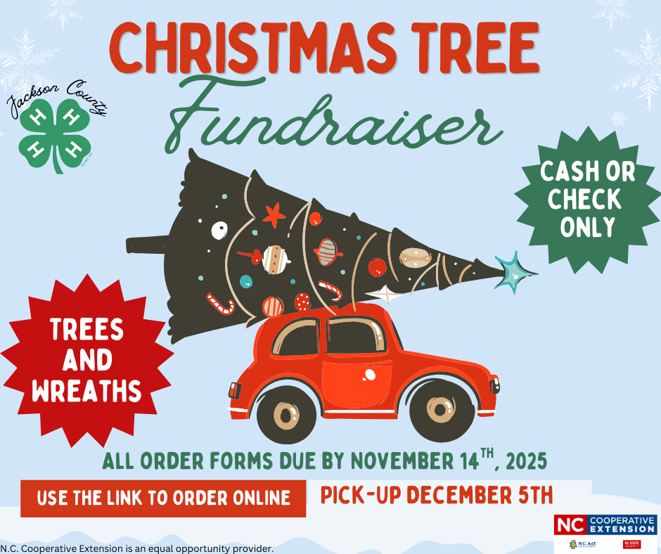Flyer for fundraiser featuring red truck and christmas tree