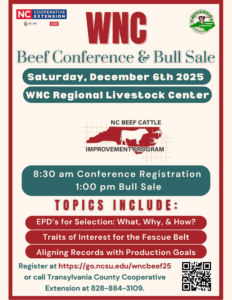 Cover photo for 2025 WNC Beef Conference and NC BCIP Bull Sale